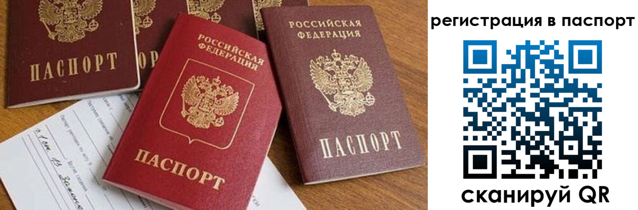 прописка в Курчалом